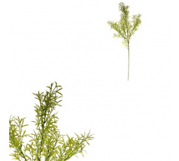 Asparagus - umělá větev, barva zelená