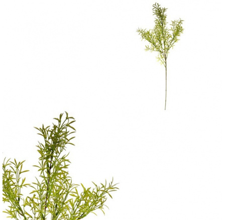 Asparagus - umělá větev, barva zelená