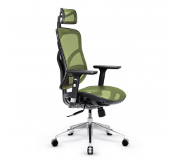 Ergonomické křeslo Diablo V-Basic, černo-zelené