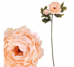 Ranunculus - umělý řezaný, 2 květy, krémový