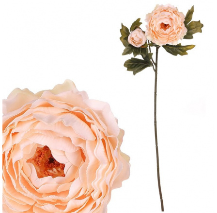 Ranunculus - umělý řezaný, 2 květy, krémový