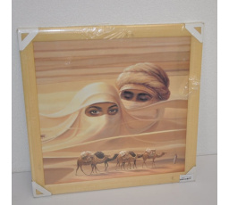Obraz Sahara 49x49 cm