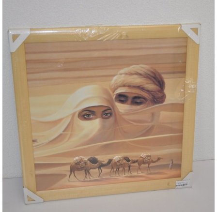 Obraz Sahara 49x49 cm