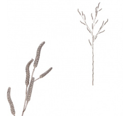 Bříza - umělá větev s jehnědami, barva champagne