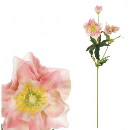 Čemeřice - umělá řezaná, 3 květy, krémovo-růžová Čemeřice - umělá řezaná, 3 květy, krémovo-růžová