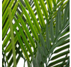 Umělá rostlina TROPICAL ZONE palma 90 cm 874227