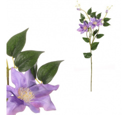 Clematis - umělá řezaná květina, tmavě fialová