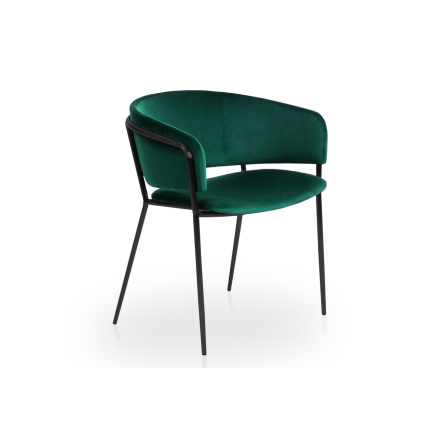 Jídelní židle NICOLE, zelená/černá