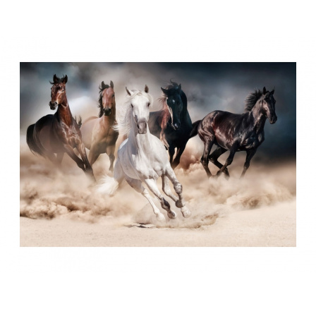 Obraz  HORSES 120X80