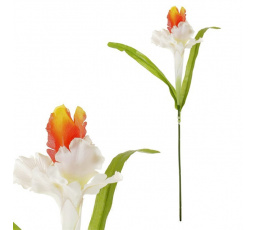 Iris - umělá řezaná květina, oranžovo-bílá