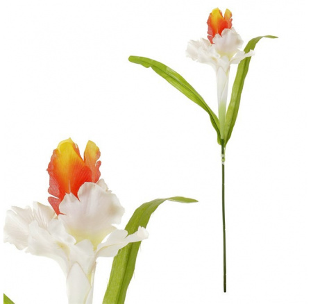 Iris - umělá řezaná květina, oranžovo-bílá