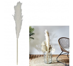 Přírodní pampová tráva 120 cm