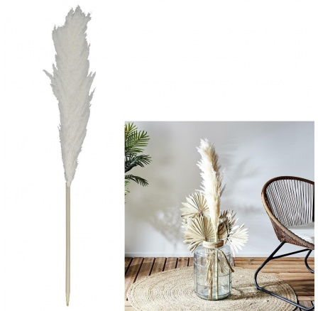 Přírodní pampová tráva 120 cm