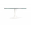Jídelní stůl CORAL, bílý/čirý