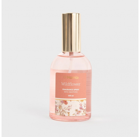 Sprej osvěžovač vzduchu BRISE Wildflower 100 ML 722028