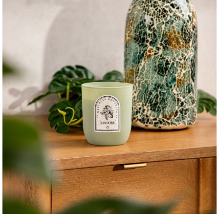 Vonná svíčka WELLNESS Restore 160 G 721069