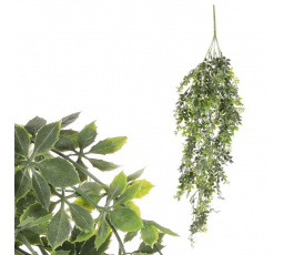 Přísavník pětiprstý - umělá převislá větev, zelená