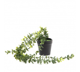 Umělá květina EUKALYPTUS ZELENÝ