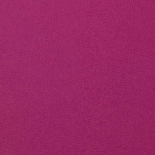 Vienna-Fuchsia 11