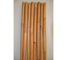 Bambusová tyč 4-5 cm, délka 2 metry - lakovaná medová
