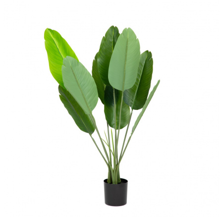 Umělá rostlina TROPICAL ZONE banánovník 90 cm 874203