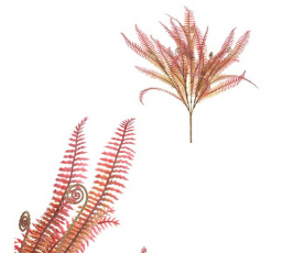 Kapradí - umělý trs, barva červená