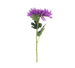 Chryzantéma - umělá řezaná květina, fialová