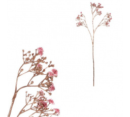 Gypsophila - s pozlacením, růžová kvítka