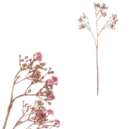 Gypsophila - s pozlacením, růžová kvítka Gypsophila - s pozlacením, růžová kvítka