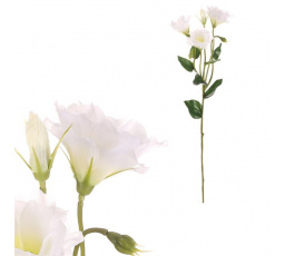 Eustoma - umělá řezaná květina, krémová