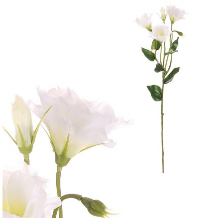 Eustoma - umělá řezaná květina, krémová
