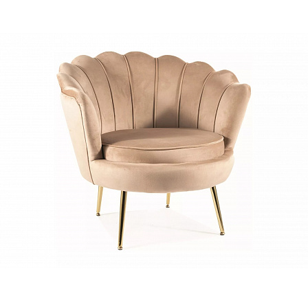 Křeslo CAMELLIA 1 VELVET, Béžový Bluvel 28/Zlatá