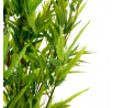 Umělá rostlina TROPICAL ZONE bambus 180 cm 877921