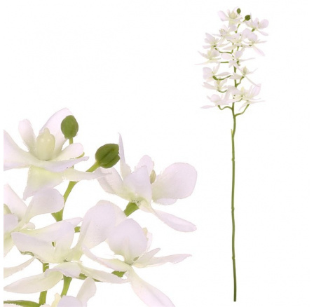 Orchidej drobnokvětá - umělá řezaná, bílá