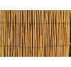 Rohož plotová rákos 130x500 cm