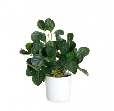 Umělá rostlina TROPICAL ZONE peperomia 43 cm 882000