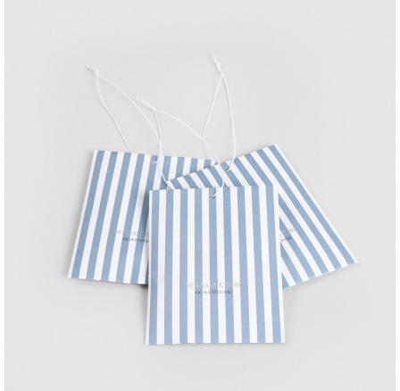 Sáček s vůní MODERN HAMPTONS Mořská sůl & Surf 3x15 g 729805