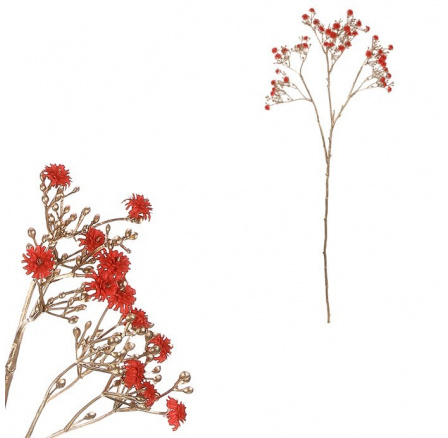 Gypsophila - s pozlacením, červená kvítka Gypsophila - s pozlacením, červená kvítka