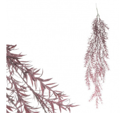 Asparagus - umělá převislá větev, fialová