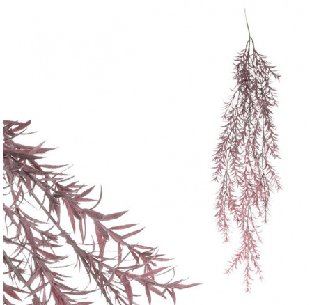 Asparagus - umělá převislá větev, fialová