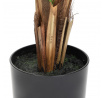 Umělá rostlina TROPICAL ZONE palma 120 cm 874241