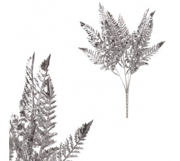 Kapradí v trsu, barva stříbrná.