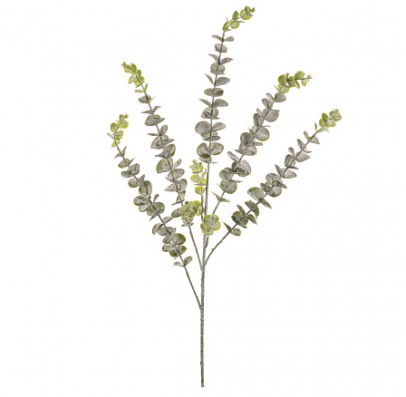 Eukalyptus - umělý trs, ojíněný, barva zelená Eukalyptus - umělý trs, ojíněný, barva zelená