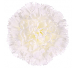 Karafiát - umělý květ, bílý, cena za balení (12 ks)