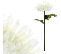 Chryzantéma - umělá řezaná květina, světle krémová