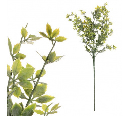 Přísavník pětiprstý - umělá větev, barva zelená