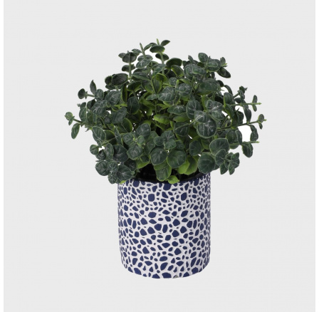 Umělá rostlina AILIA Sukulent 23 cm 302709