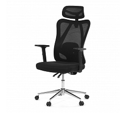 Kancelářská židle, výškově nastavitelná, černá síťovina, KA-R216 BK