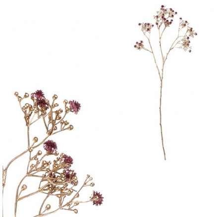Gypsophila - s pozlacením, fialová kvítka Gypsophila - s pozlacením, fialová kvítka