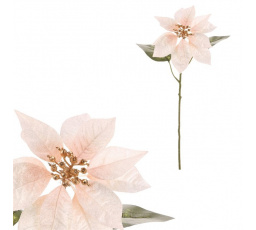 Vánoční růže - umělá řezaná květina, krémovo-zlatá